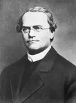 We have been inspired by his perseverance and sacrifice which merited him the title, the Father of Modern Genetics, but who was Gregor Mendel?