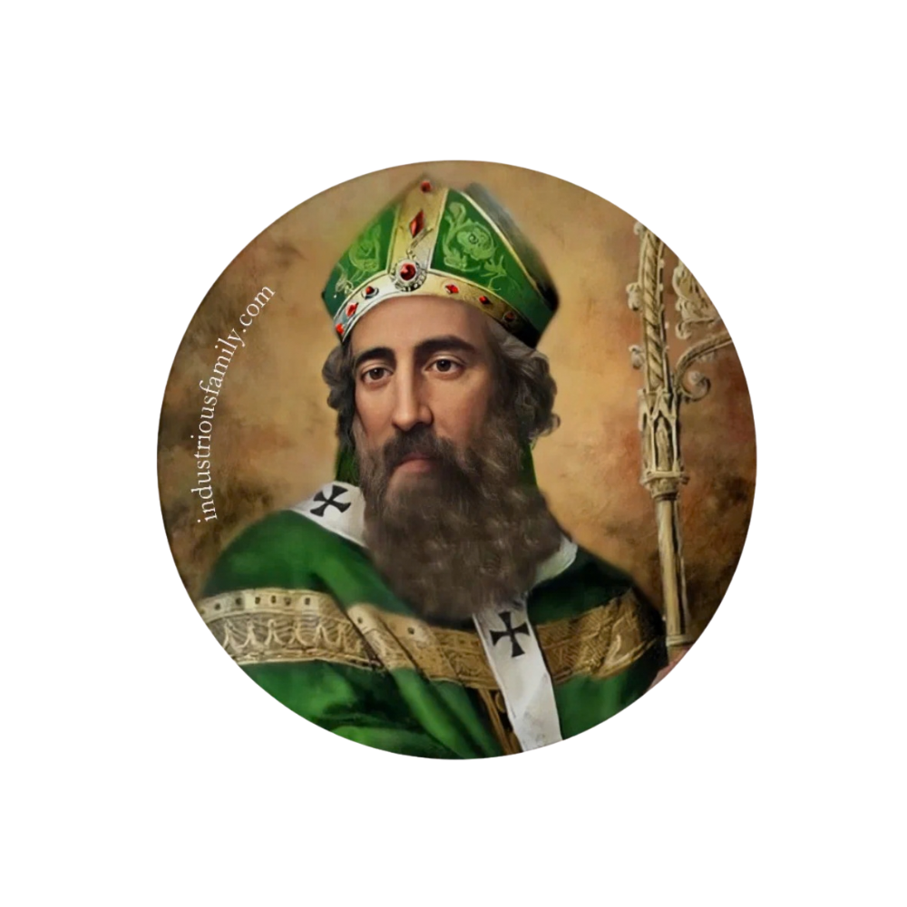 St. Patrick pin