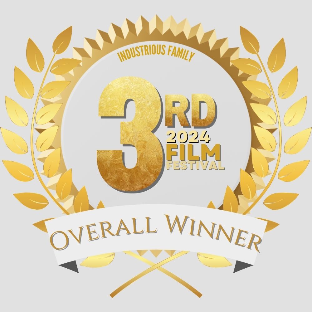 3rd place award 3rd place award
