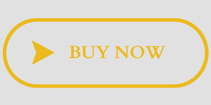 buy now new button stripe 1