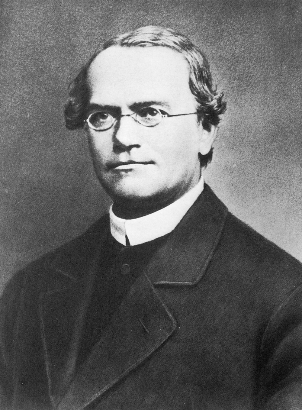 who was Gregor Mendel