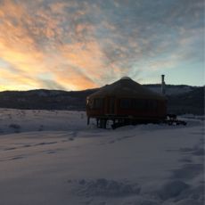 Homesteading article thumbnail