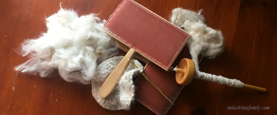 Shearing and spinning Angora fiber is something anyone can learn to do. Adults and teens alike can enjoy harvesting wool in a humane and enjoyable way.