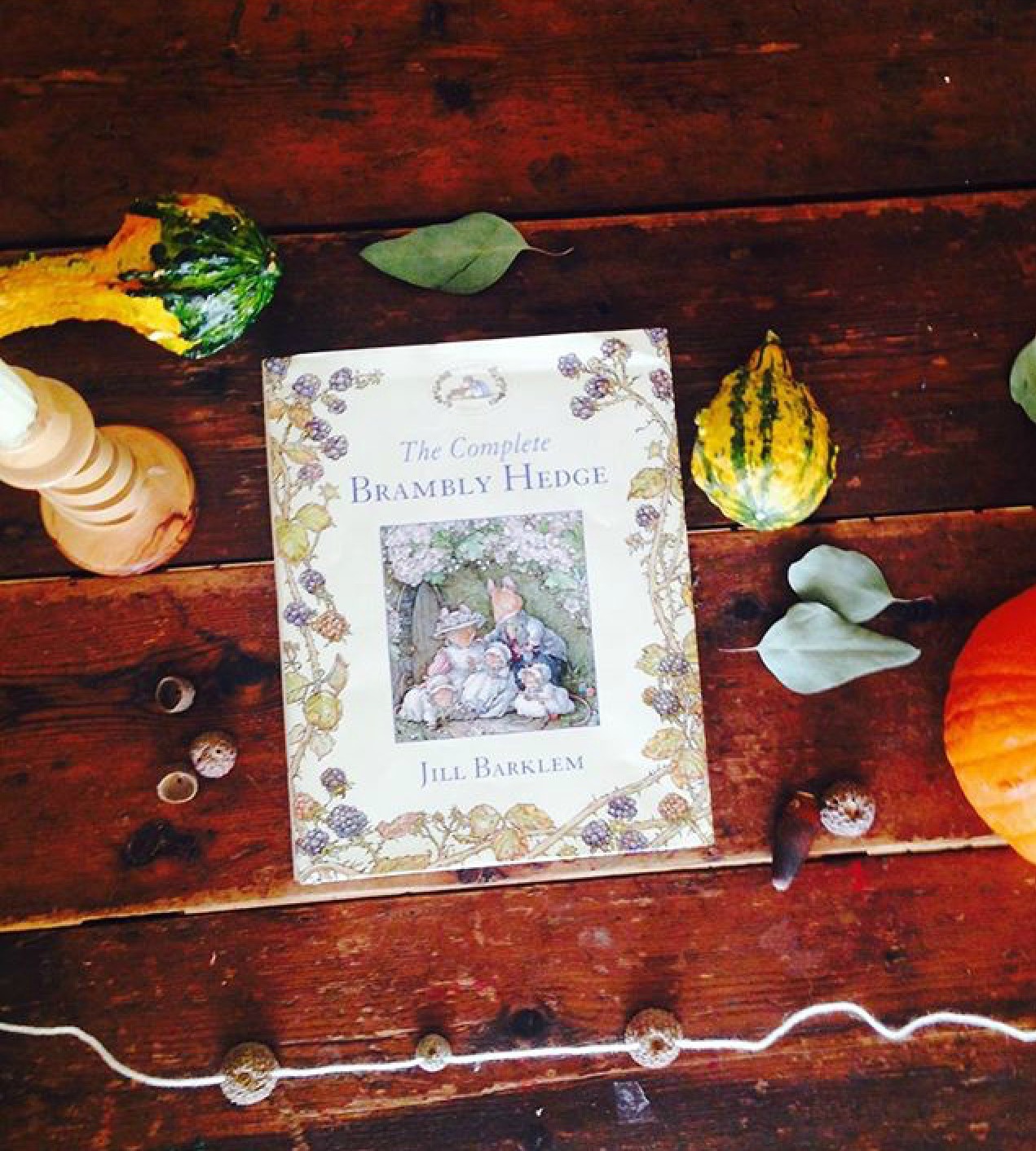 Charming pictures, engaging tales, all a children's book should be: Brambly Hedge is a welcome addition to any children's bookshelf.