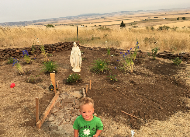 Mary Garden Just planted