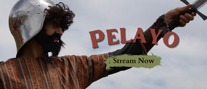 Pelayo Stream Now Store