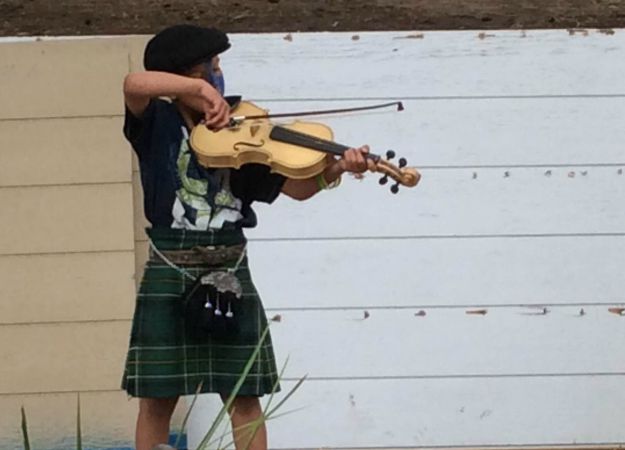 fiddle comp. fiddle comp.