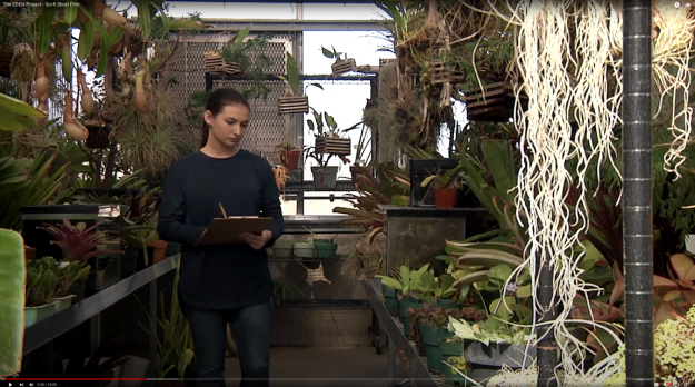 The EDEN Project The EDEN Project