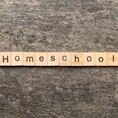 Homeschooling article thumbnail
