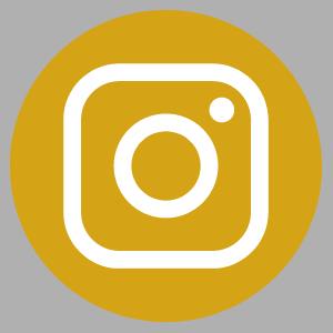 instagram button stripe 3