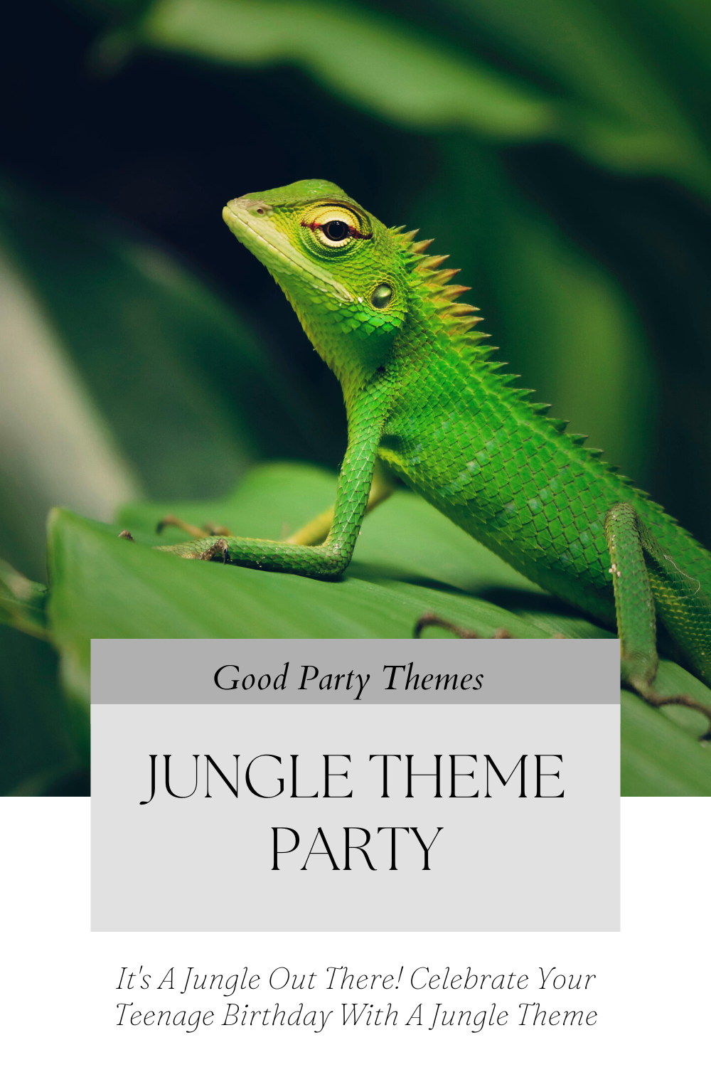 Jungle Theme Party