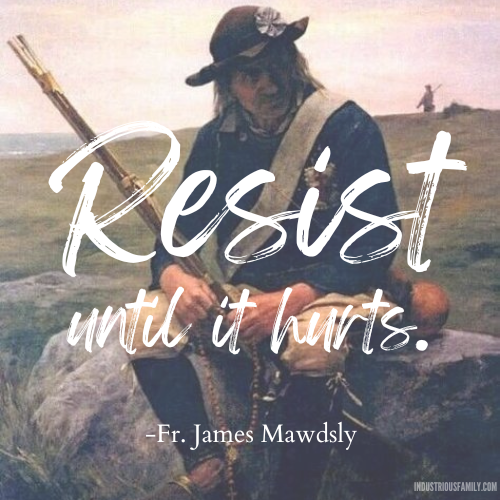 The War of the Vendee The War of the Vendee