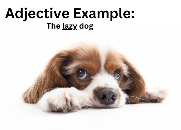 adjective definition and examples adjective definition and examples