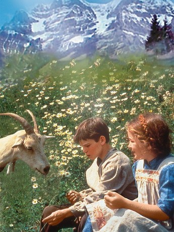  IMAGE Alt Text